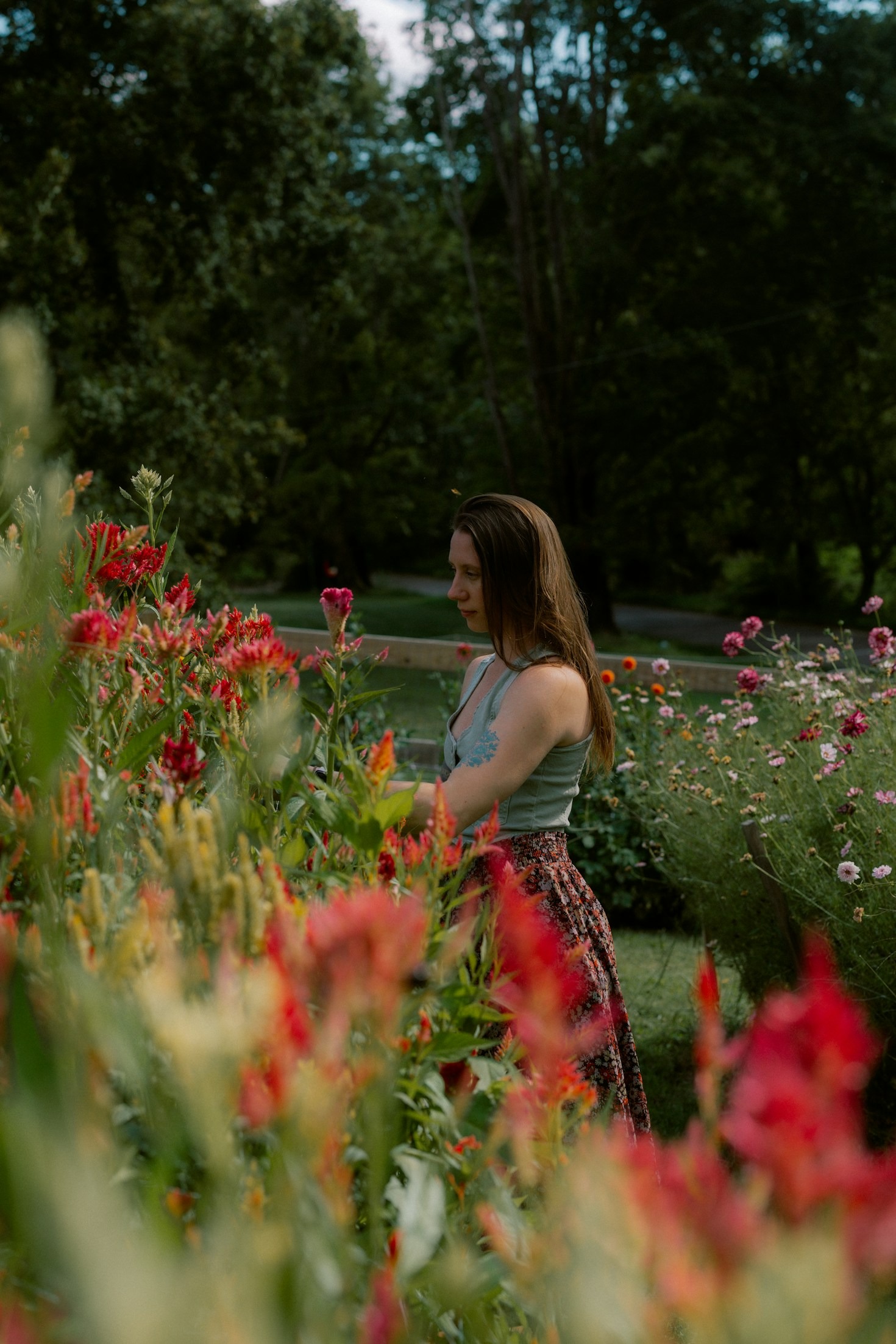 Benefits of Regular Garden Waste Removal